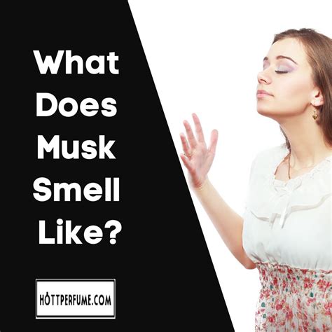 what does musk smell like